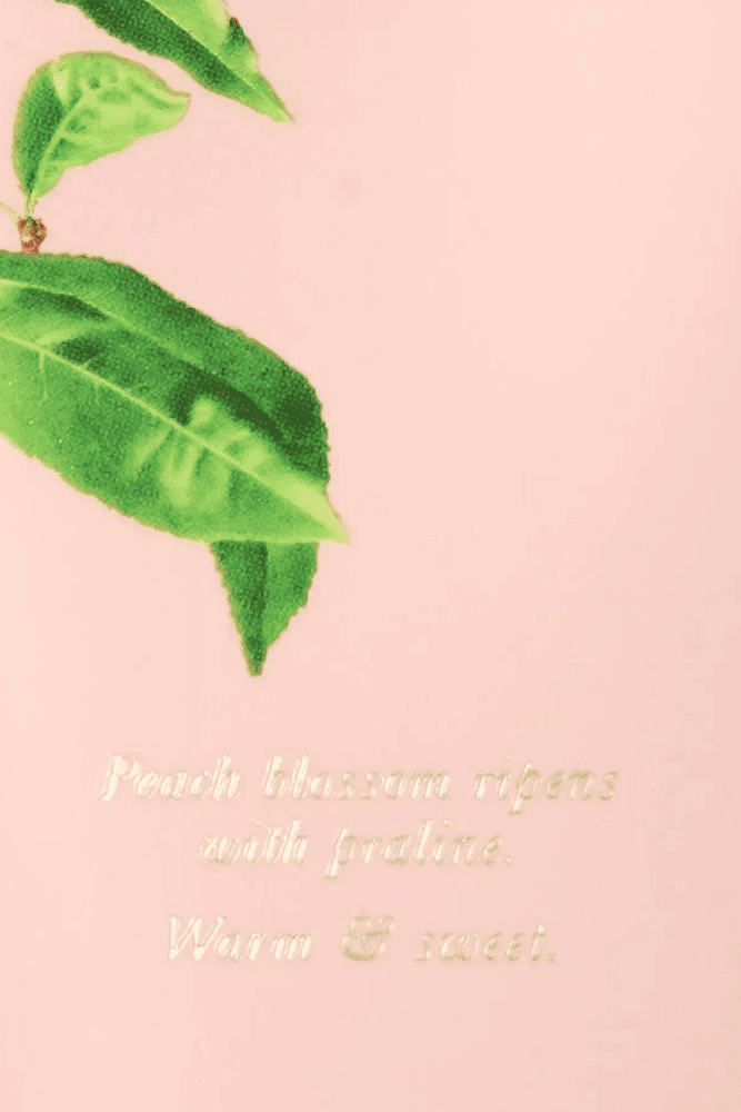 ЛОСЬЙОН SUNLIT NECTAR Victoria`s Secret