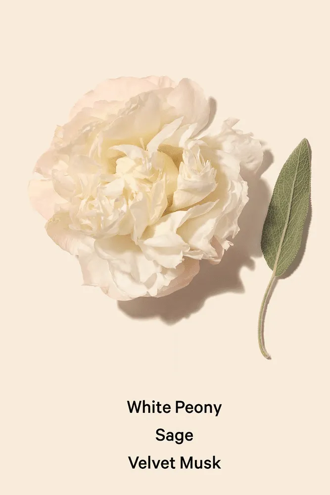 СПРЕЙ ДЛЯ ТІЛА LUXE BOMBSHELL SEDUCTION Victoria`s Secret